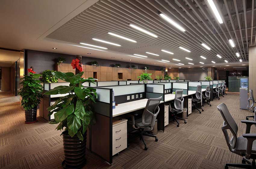 常见的办公室绿植摆放位置